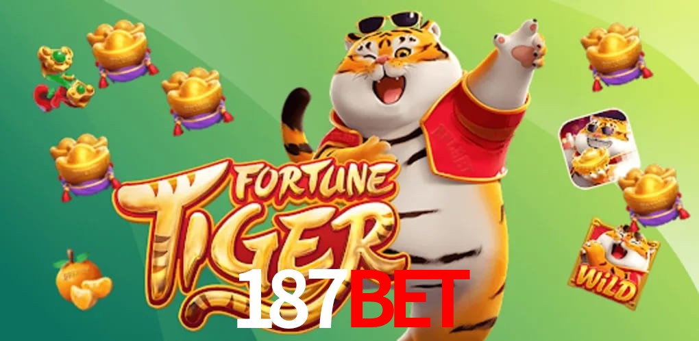 Security Systems 187Bet
